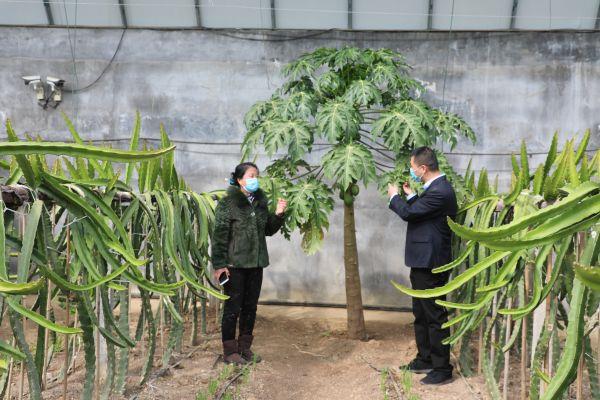 东平3