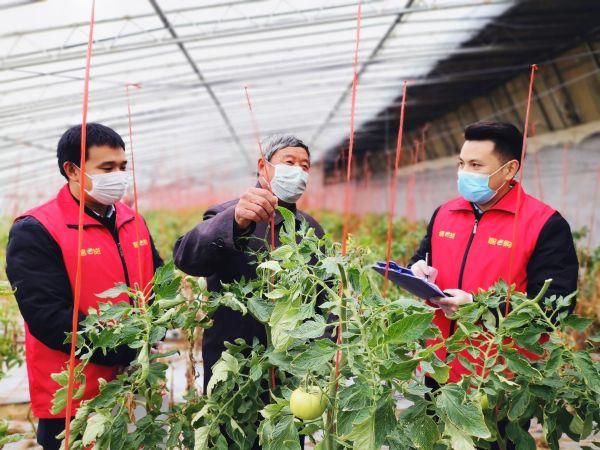 金融活水润泽乡村振兴