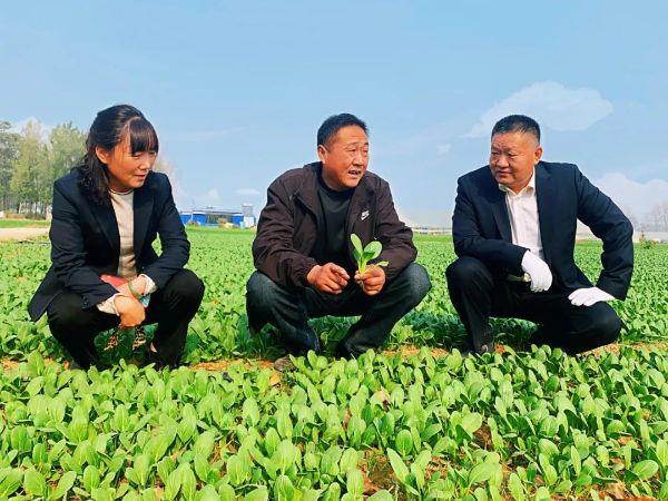 山东农商银行奋斗的事业：“打造乡村振兴的齐鲁样板”，让老百姓过上“好日子”！