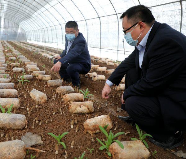 东平农商银行：党建引领助推乡村振兴