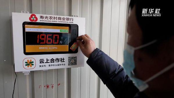 新华社：农商银行以科技助力菜农增收