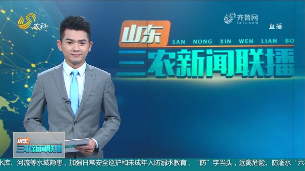陵城农商银行：优先安排助力夏粮颗粒归仓