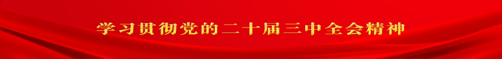 学习贯彻党的二十届三中全会精神