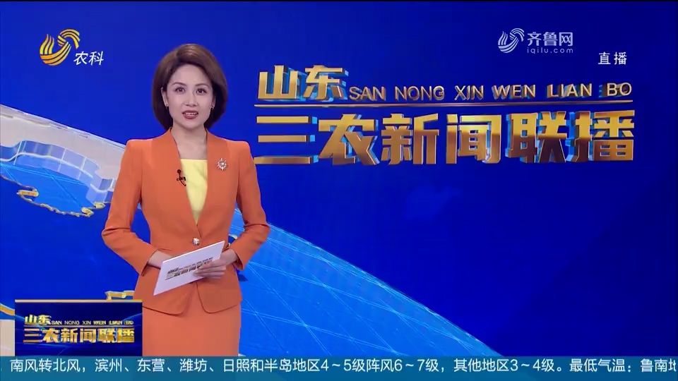 山东三农新闻联播：农商银行精准助农 赋能乡村振兴